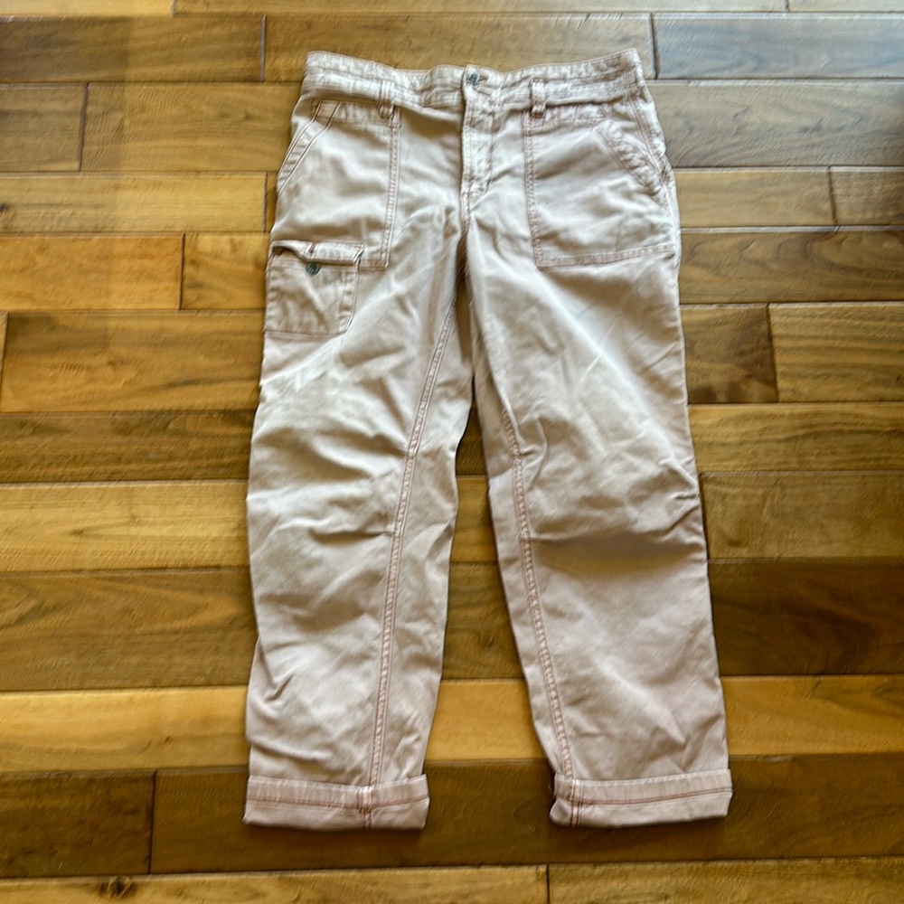 Anthropologie The Wanderer cargo pant